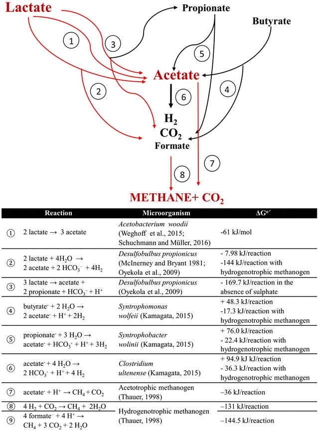 Fig. 6