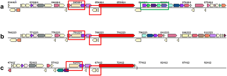 Fig. 10