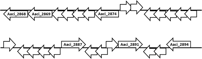 Fig. 15