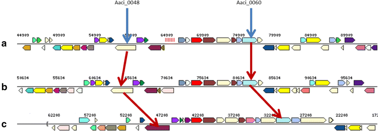 Fig. 7