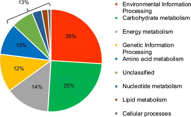 Fig. 6