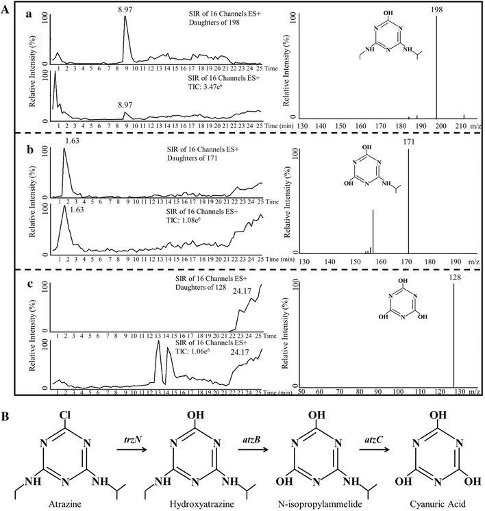 Fig. 2