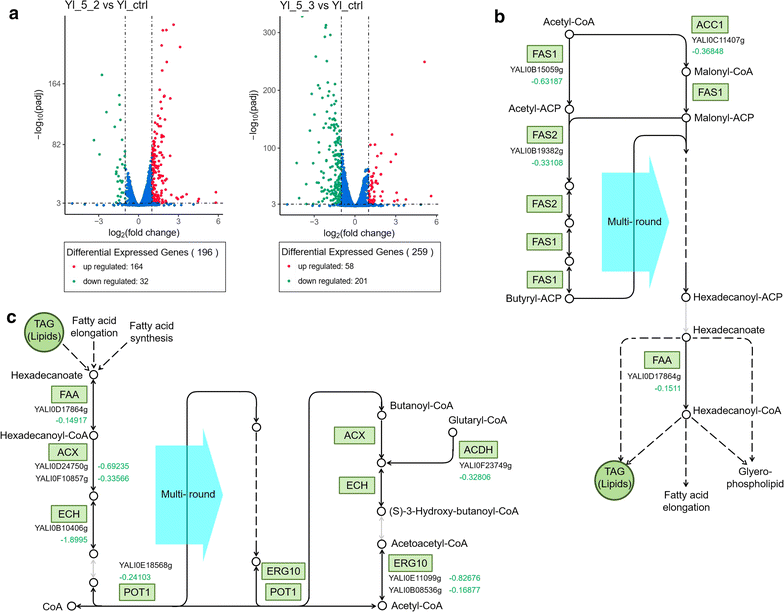 Fig. 3