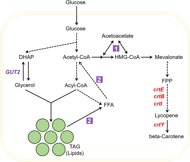 Fig. 6