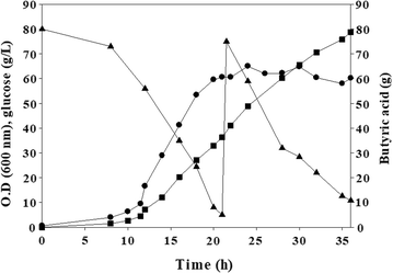 Fig. 5