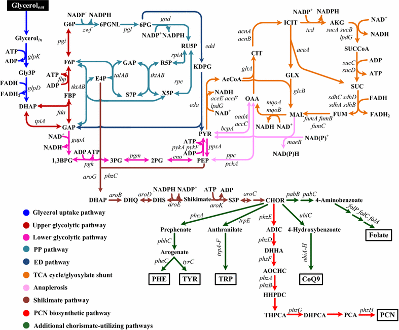 Fig. 1