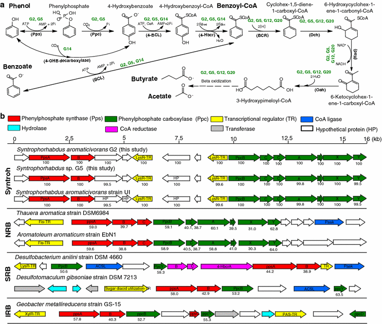 Fig. 4