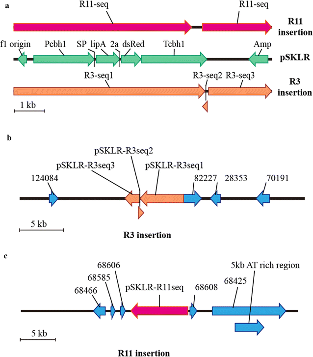 Fig. 5