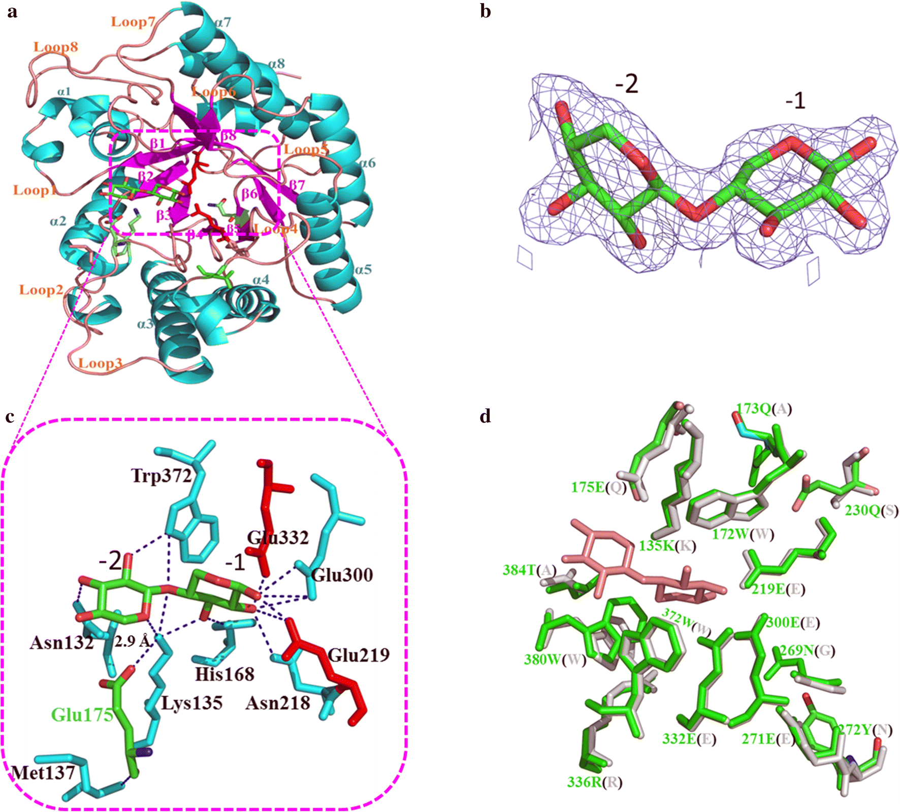 Fig. 1