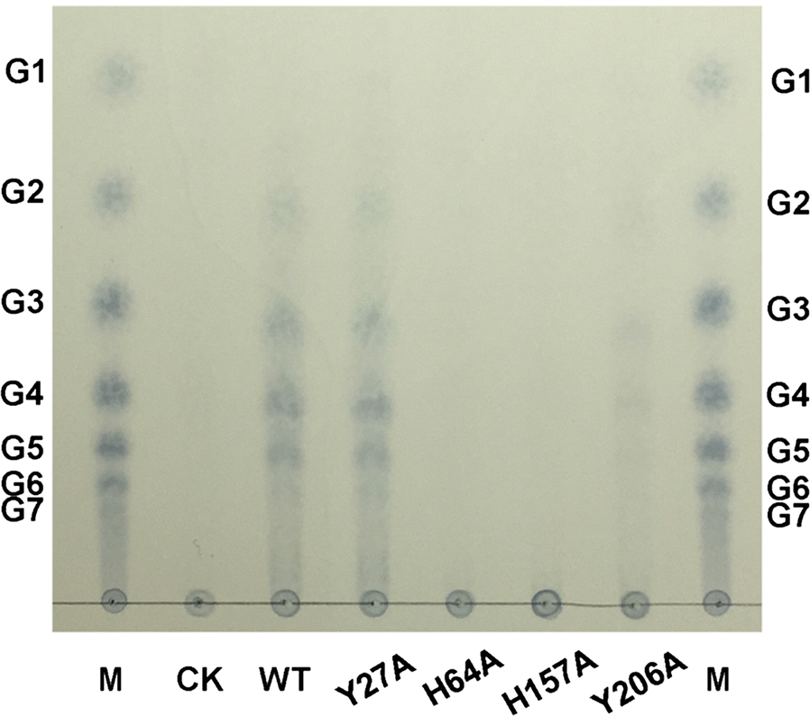 Fig. 6