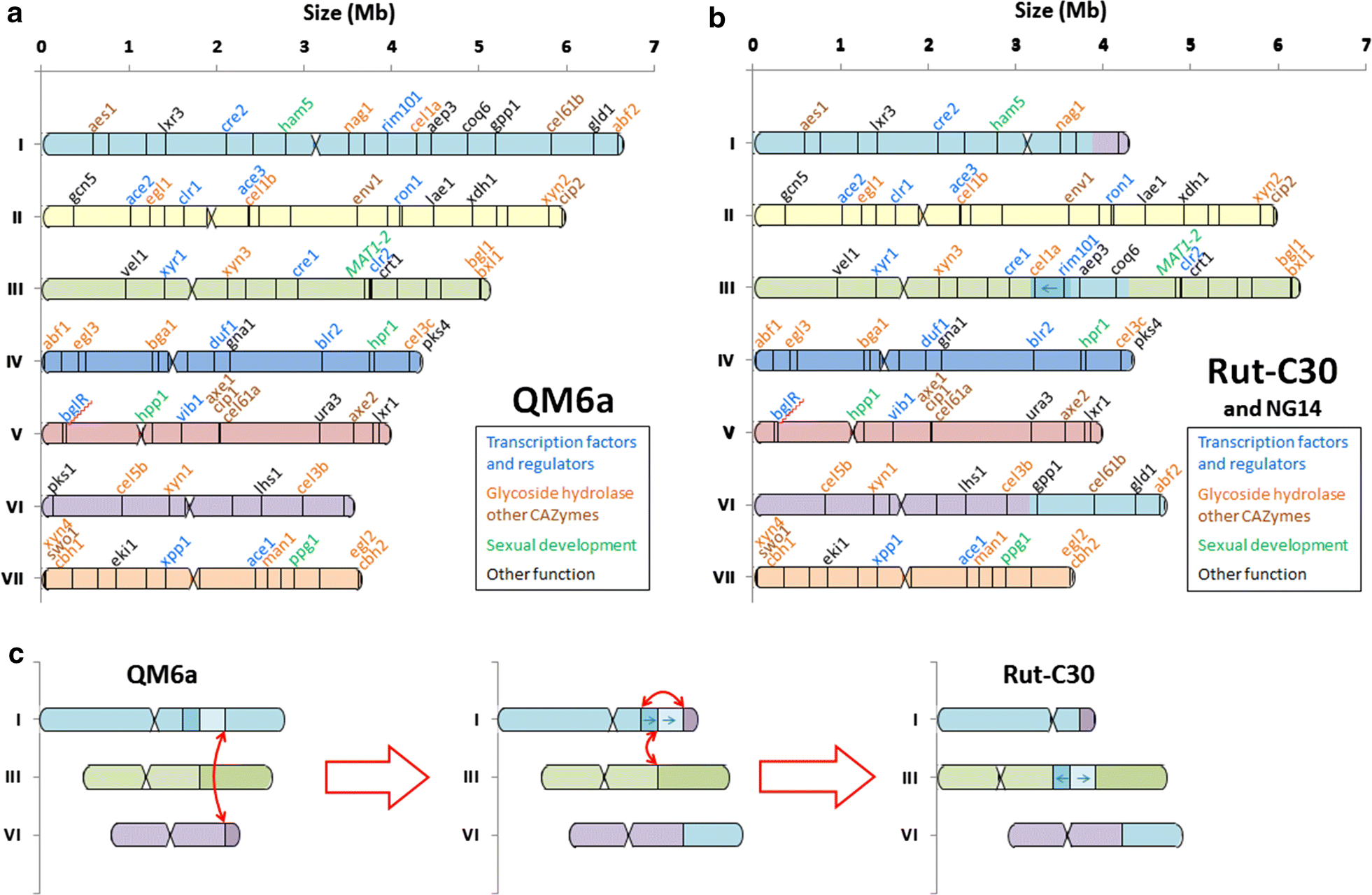 Fig. 2