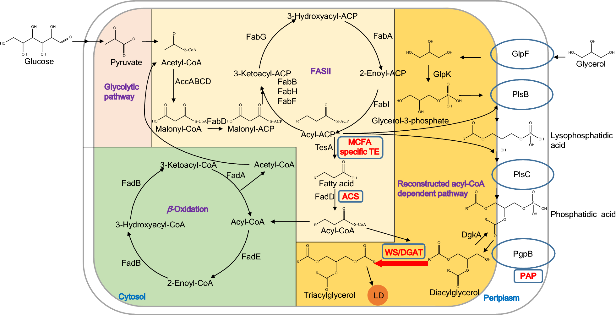 Fig. 1