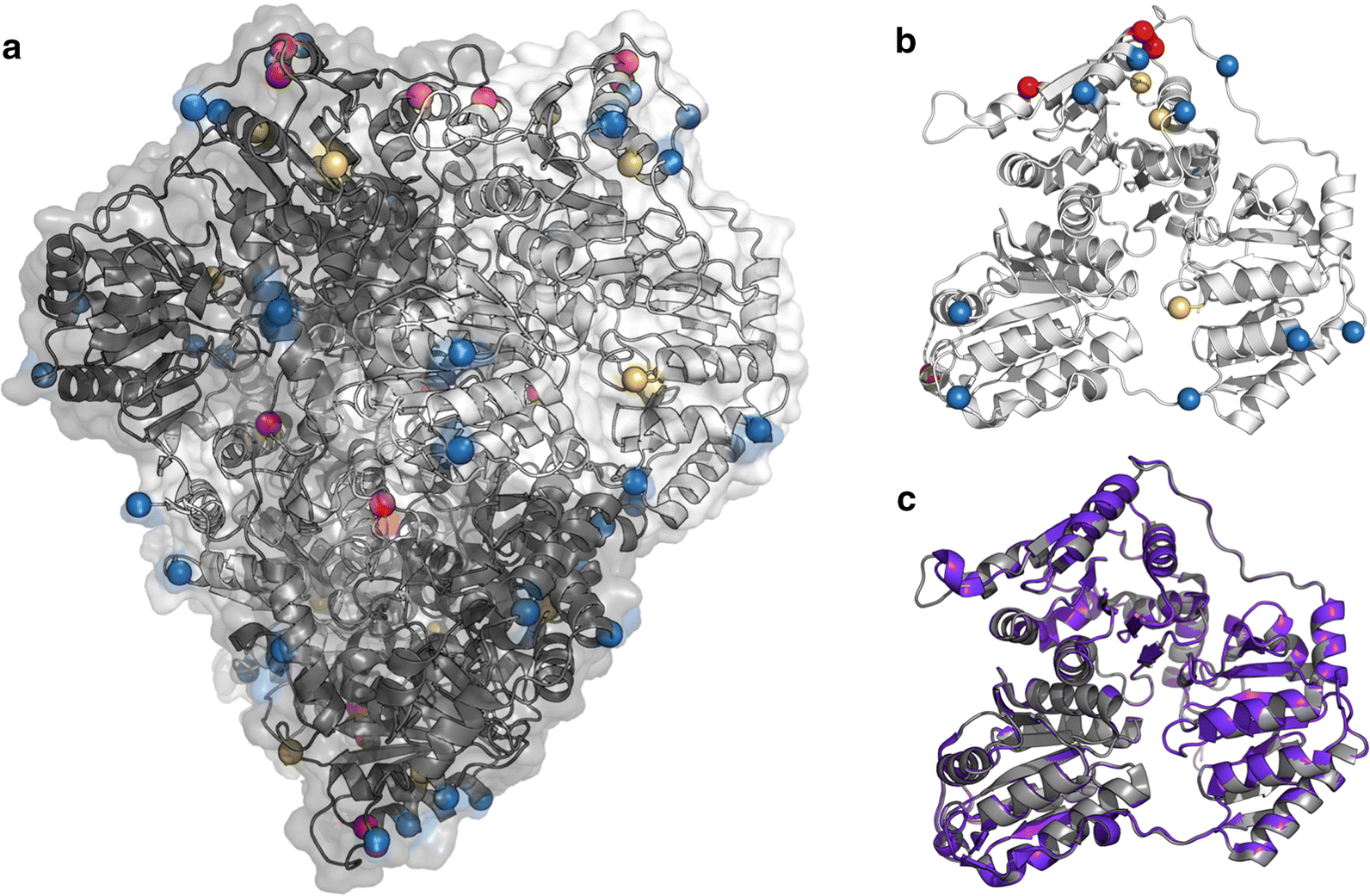 Fig. 5