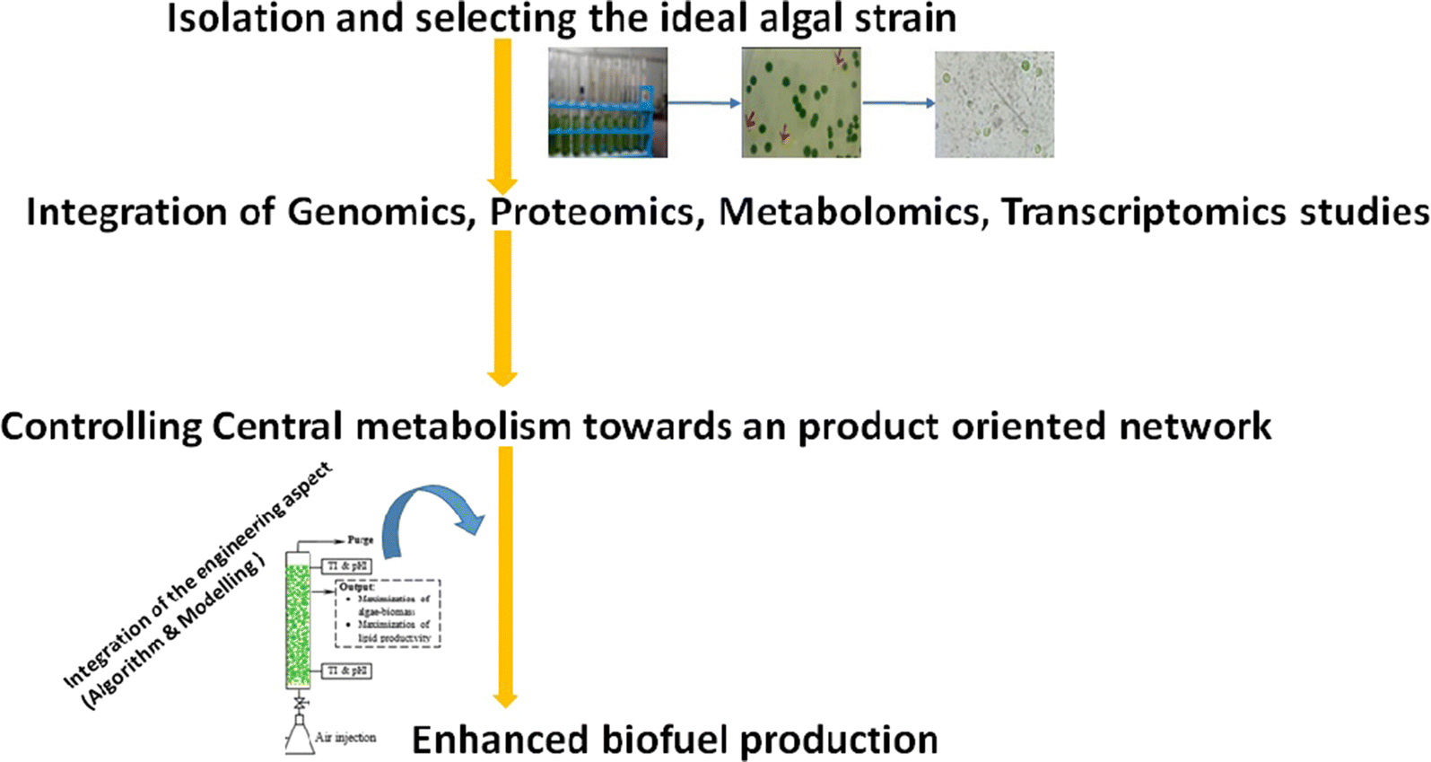 ... culture conditions and various operating parameters that need to be optimized to yield biofuel that can be economically competitive with fossil fuels.