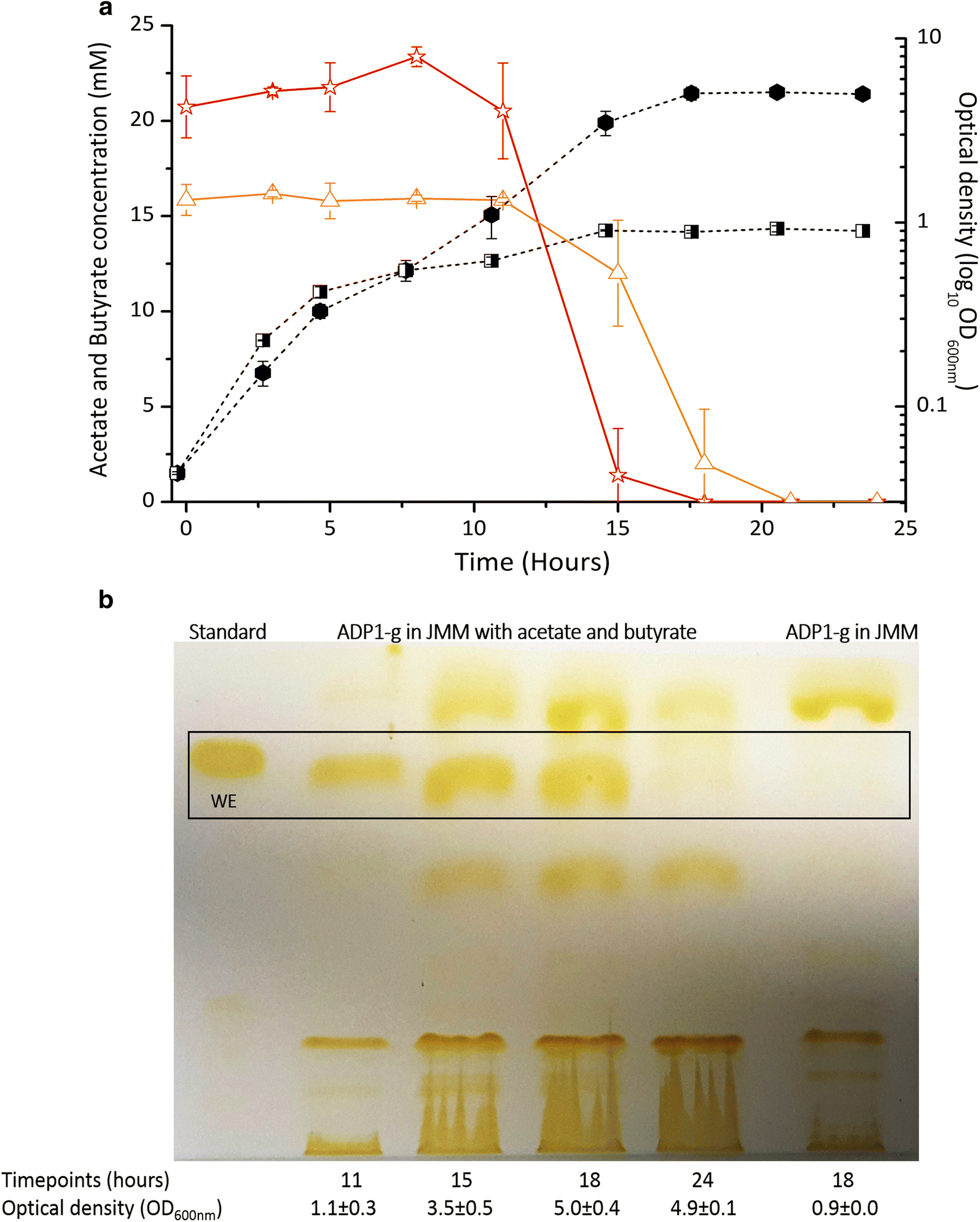 Fig. 3