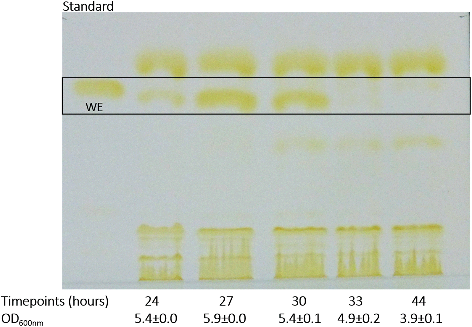 Fig. 5