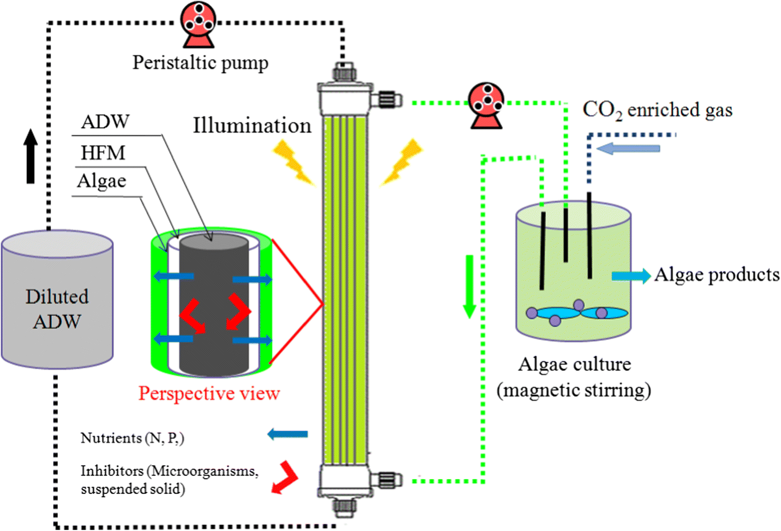 Fig. 1