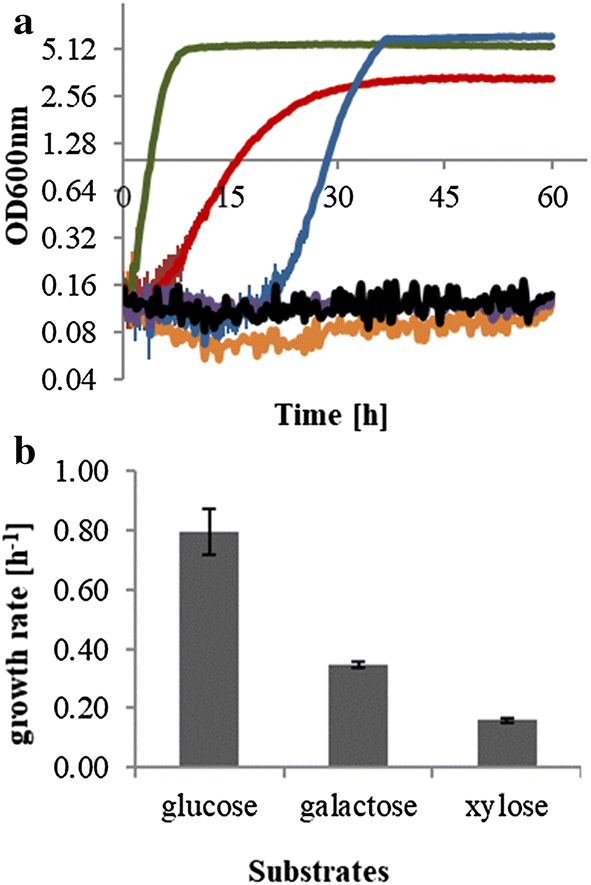 Fig. 1