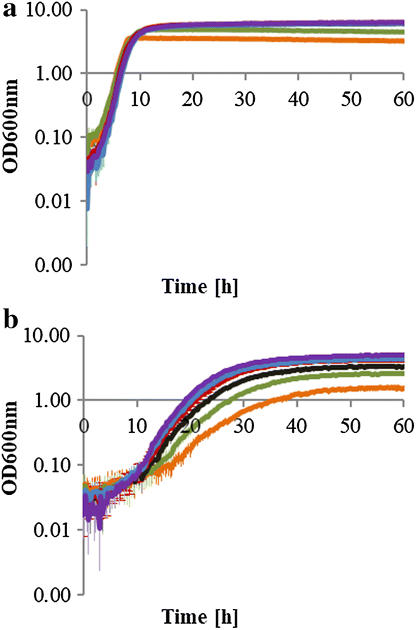 Fig. 2