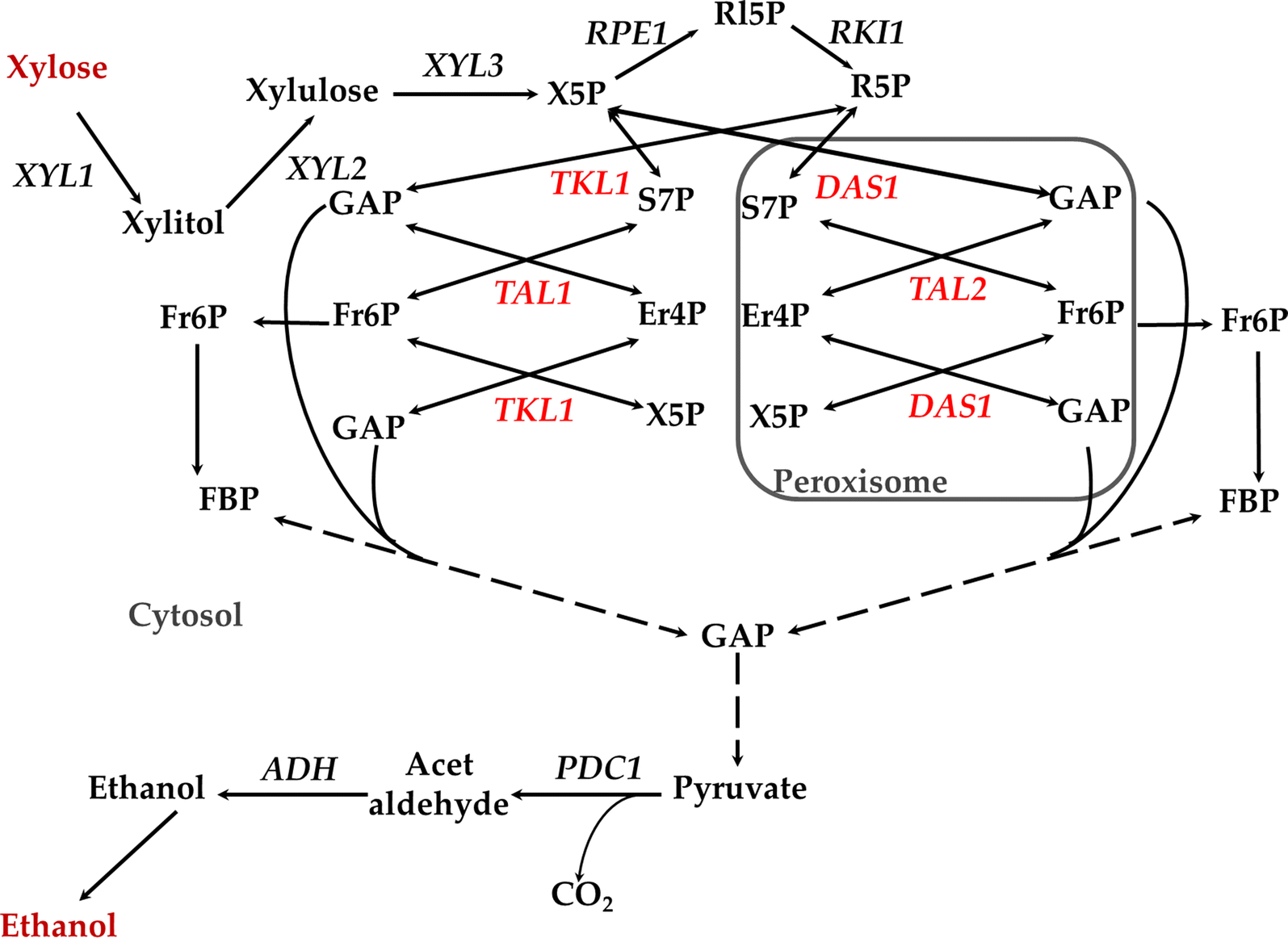 Fig. 1