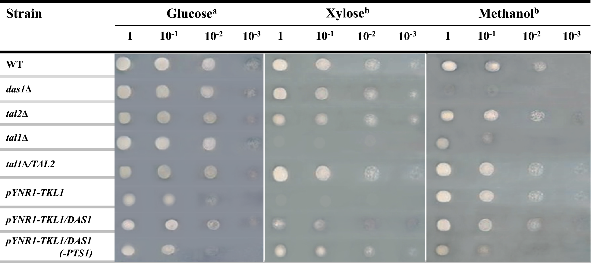 Fig. 3