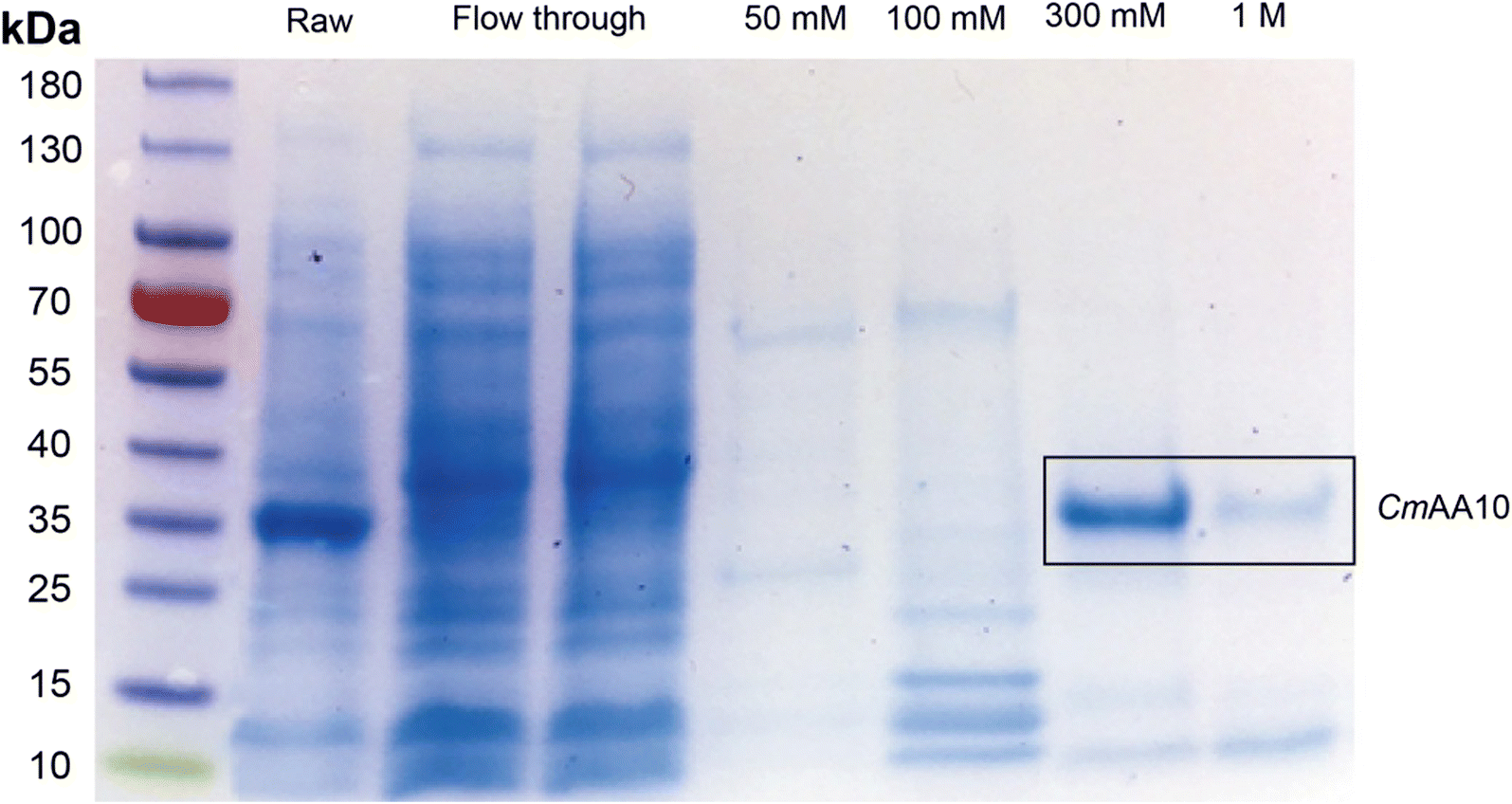 Fig. 4