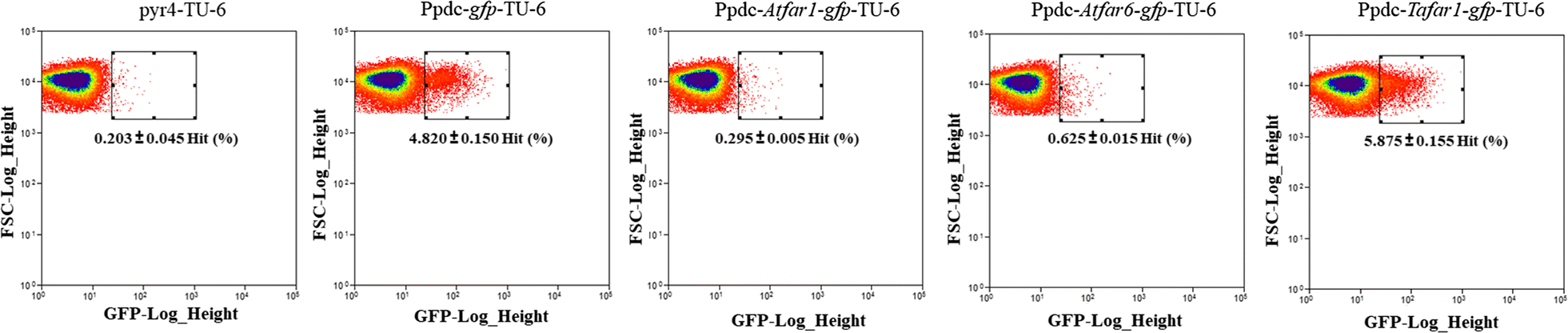 Fig. 4