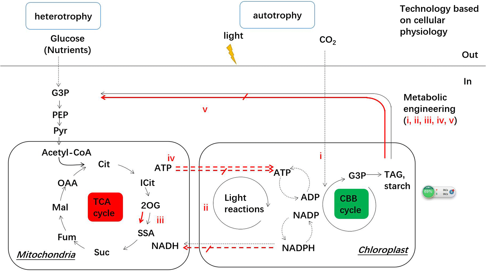 Fig. 1