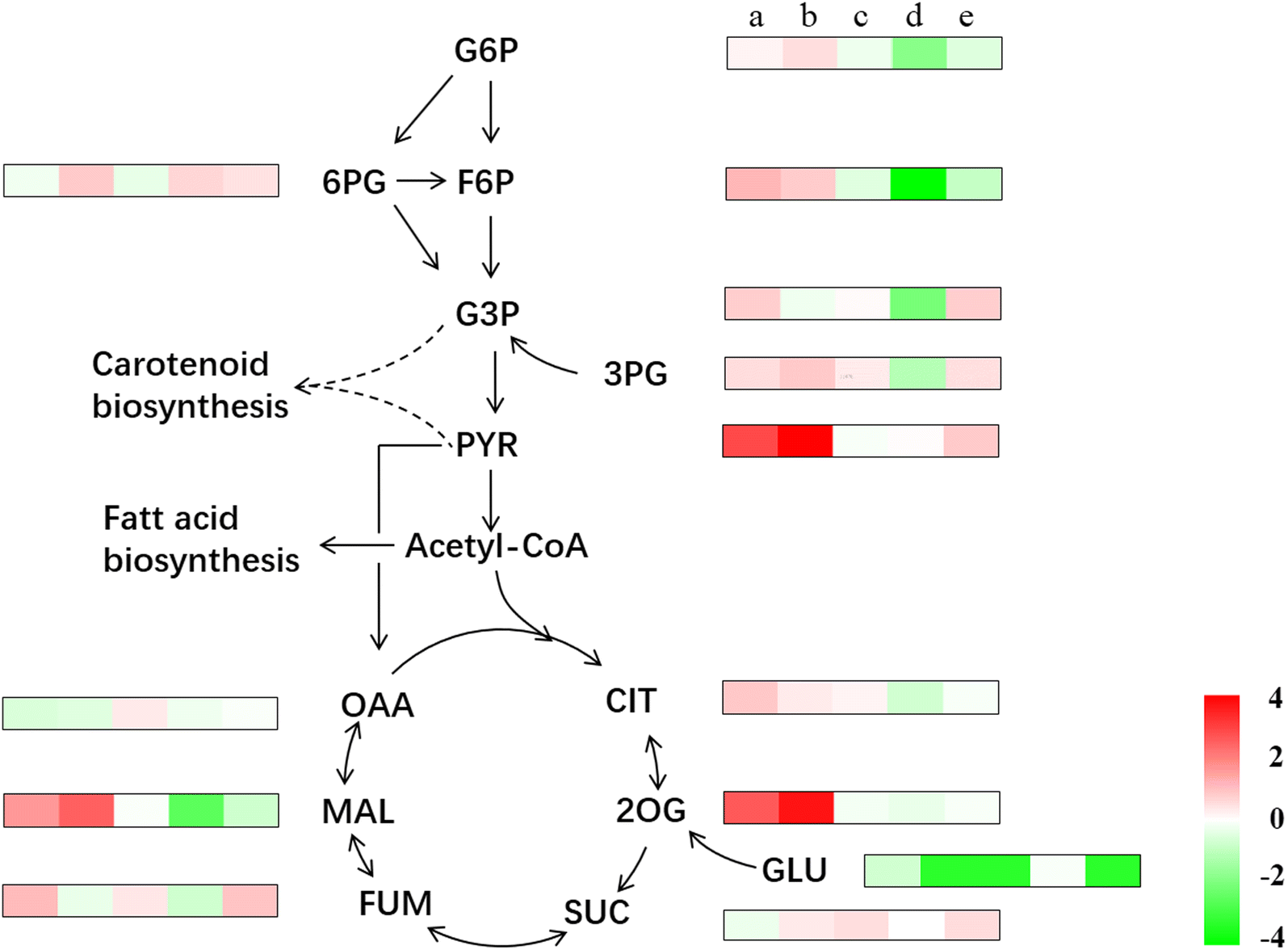 Fig. 4