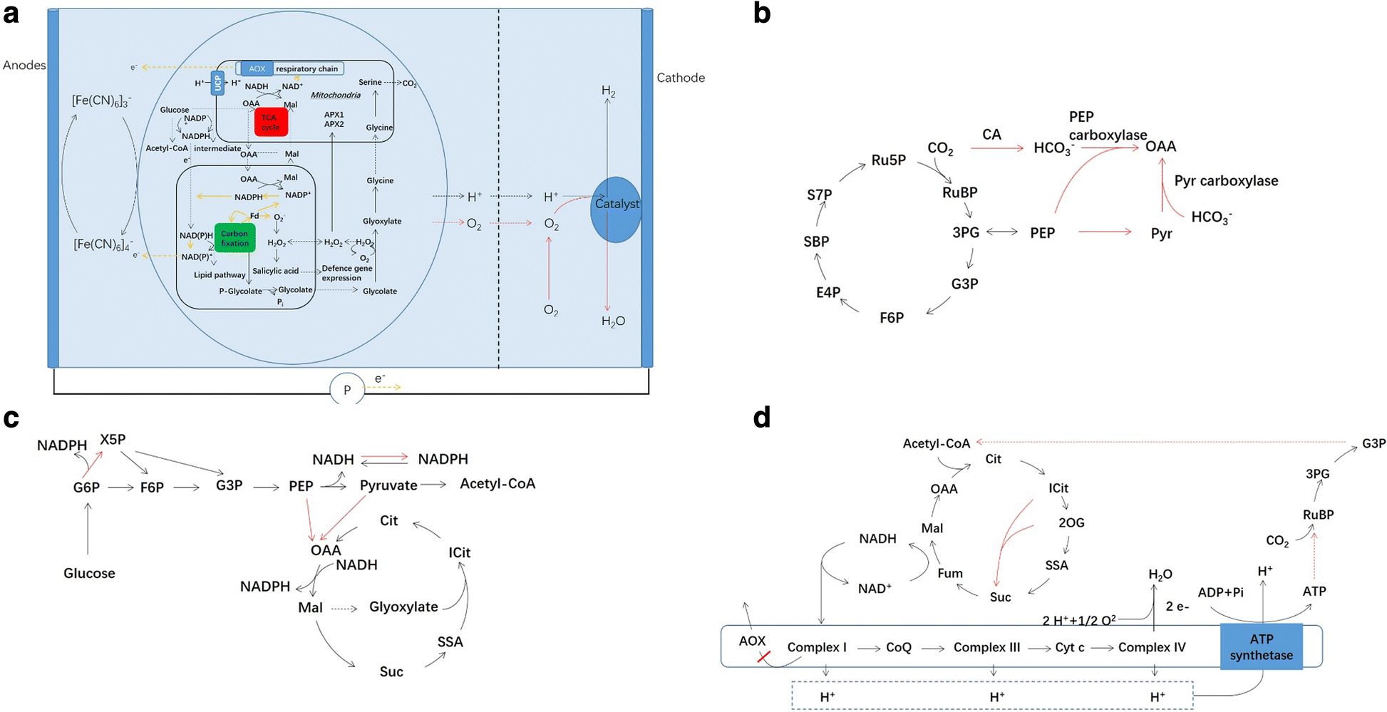 Fig. 5