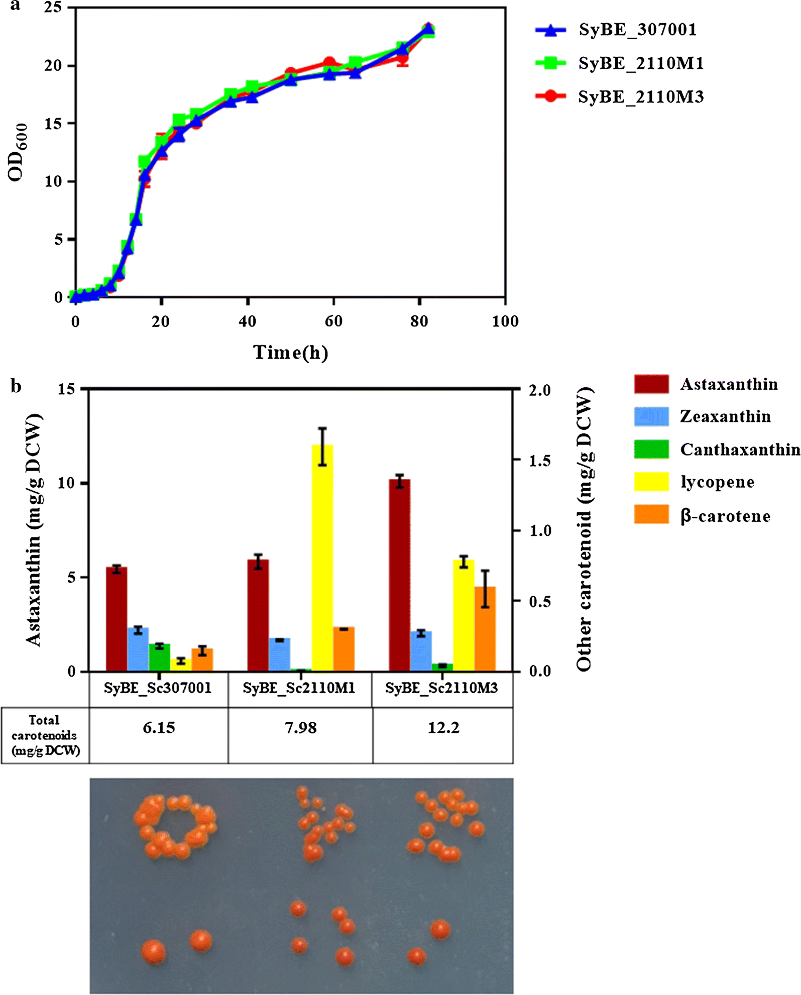 Fig. 3