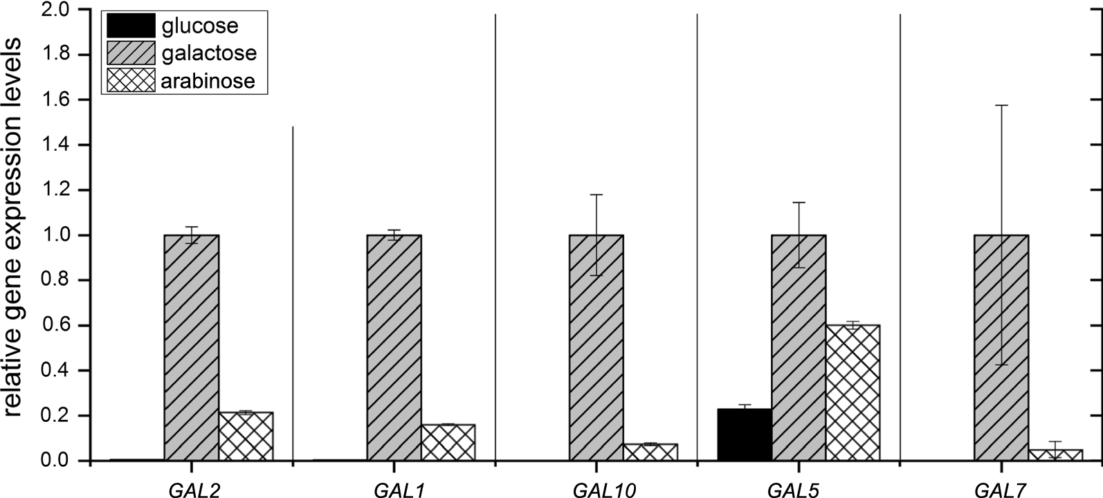 Fig. 4