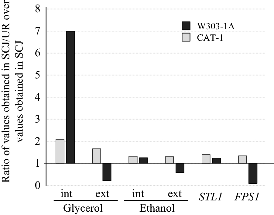 Fig. 4