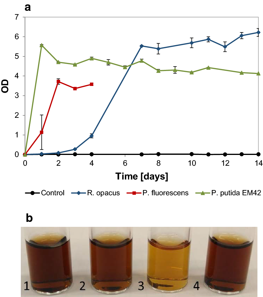 Fig. 4