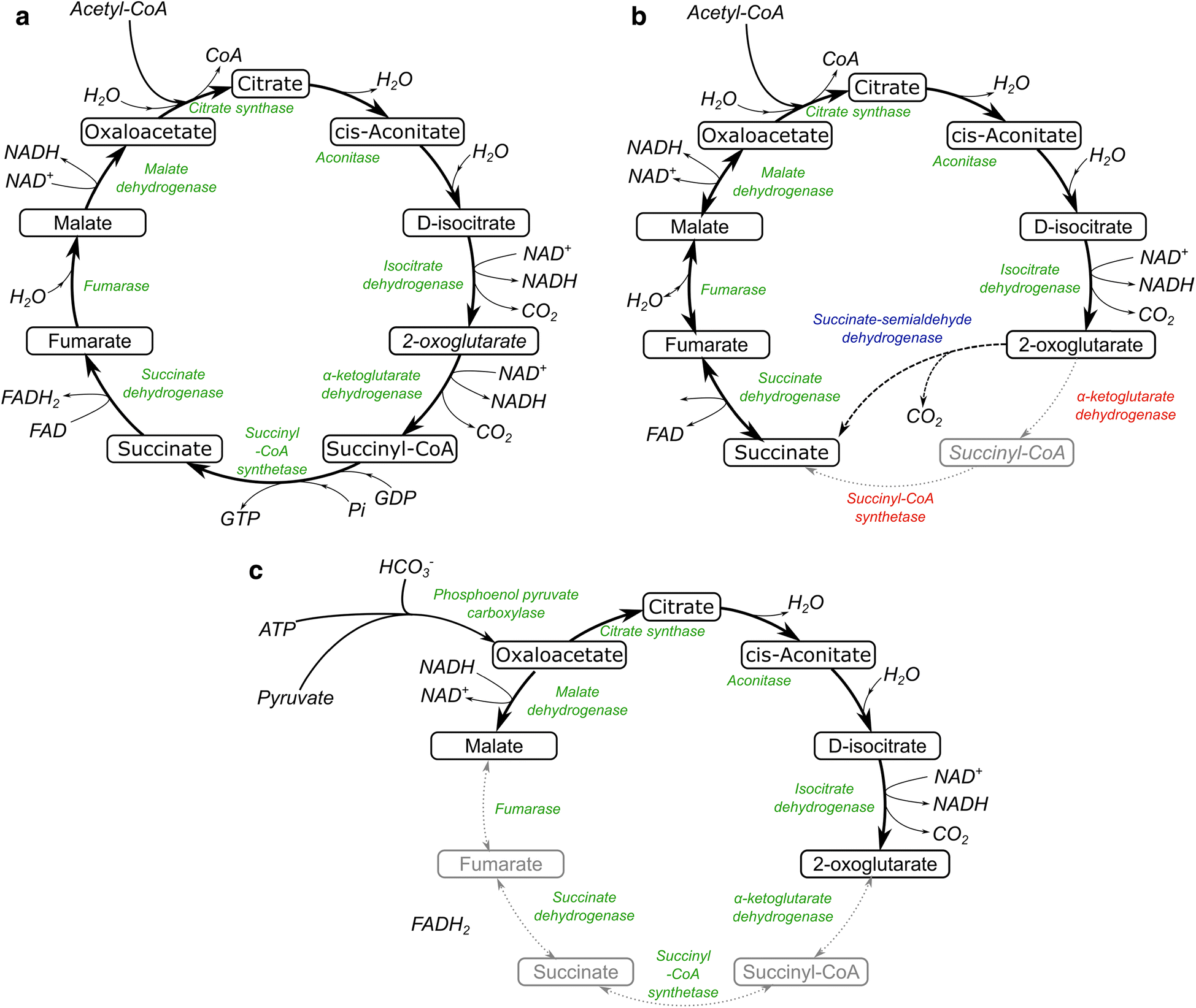 Fig. 4