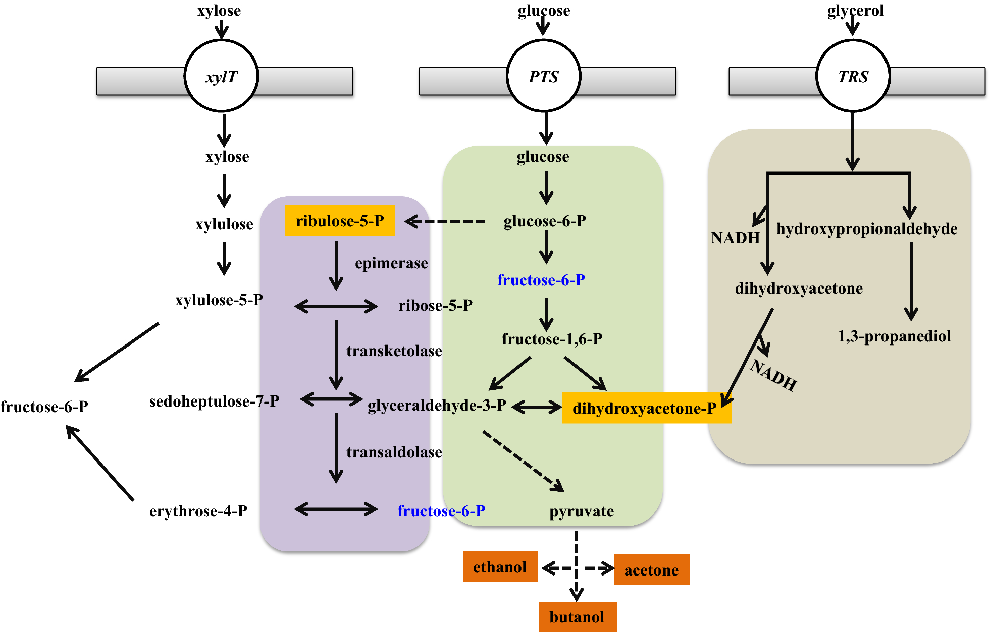 Fig. 2