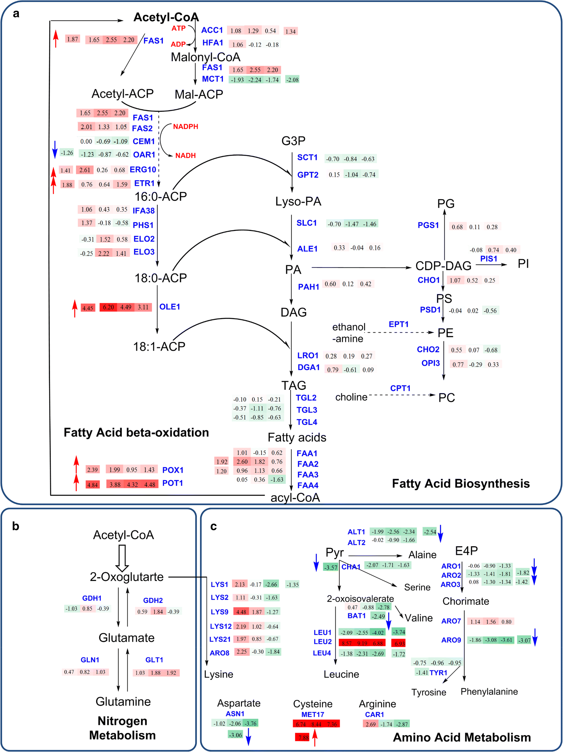 Fig. 4