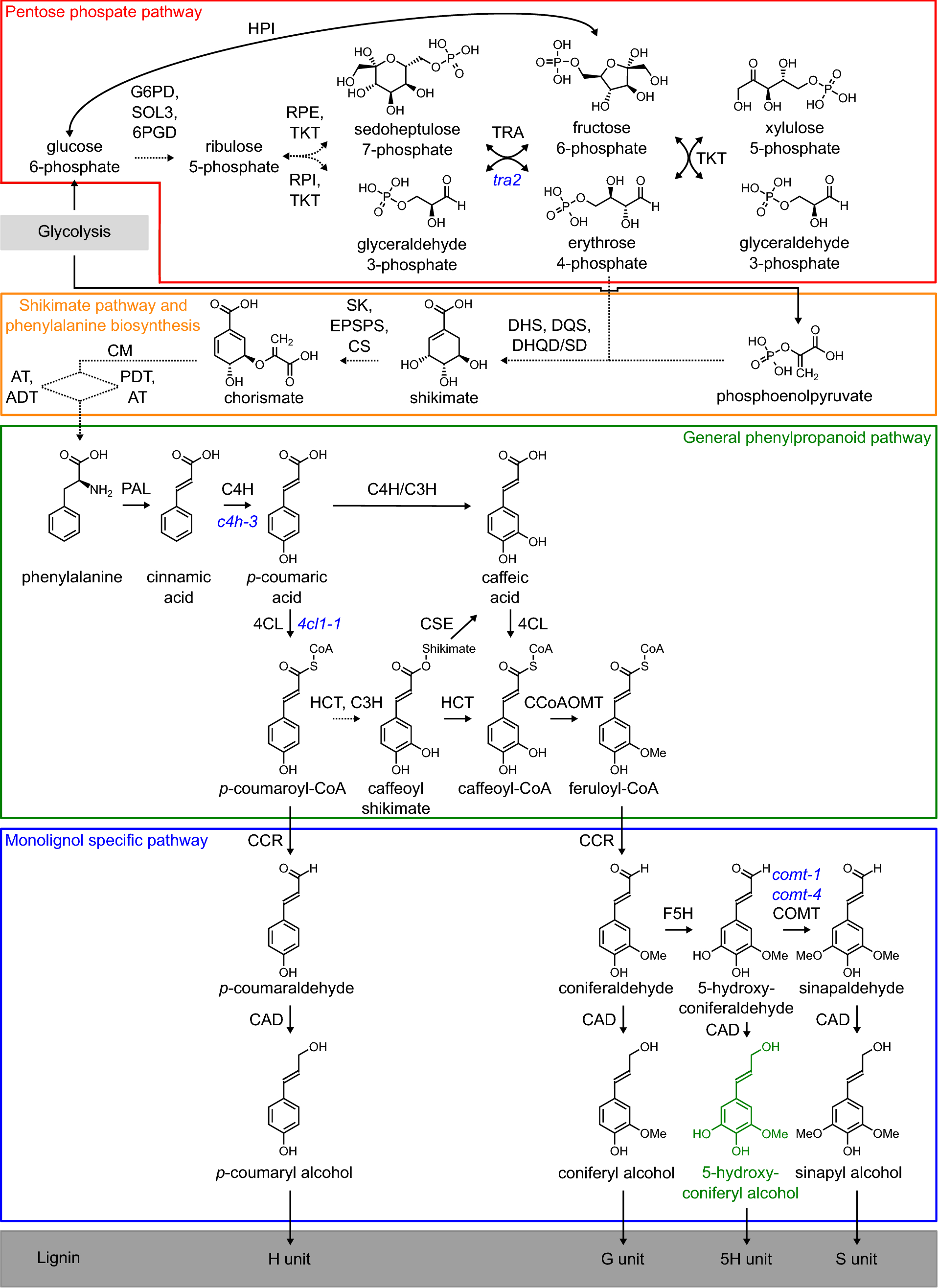 Fig. 1