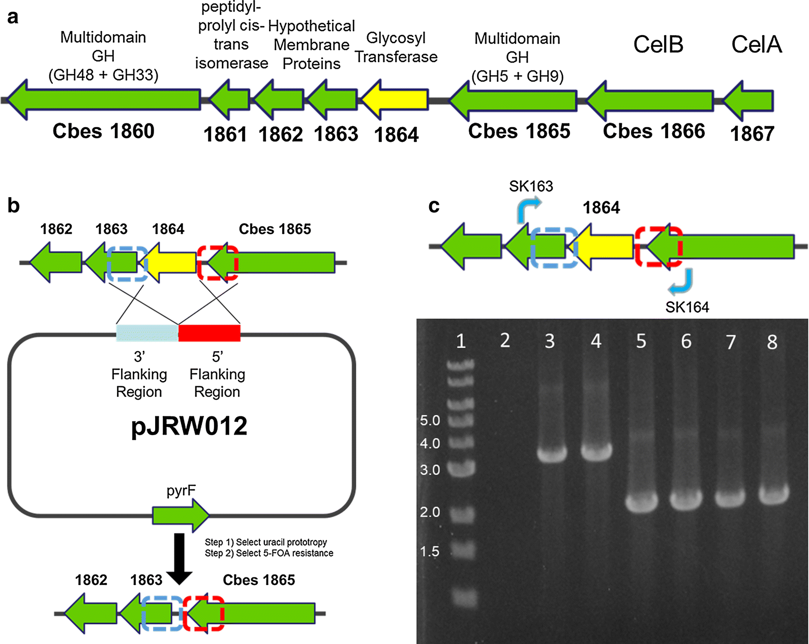 Fig. 1