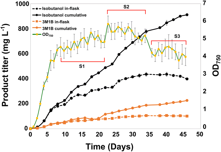 Fig. 2