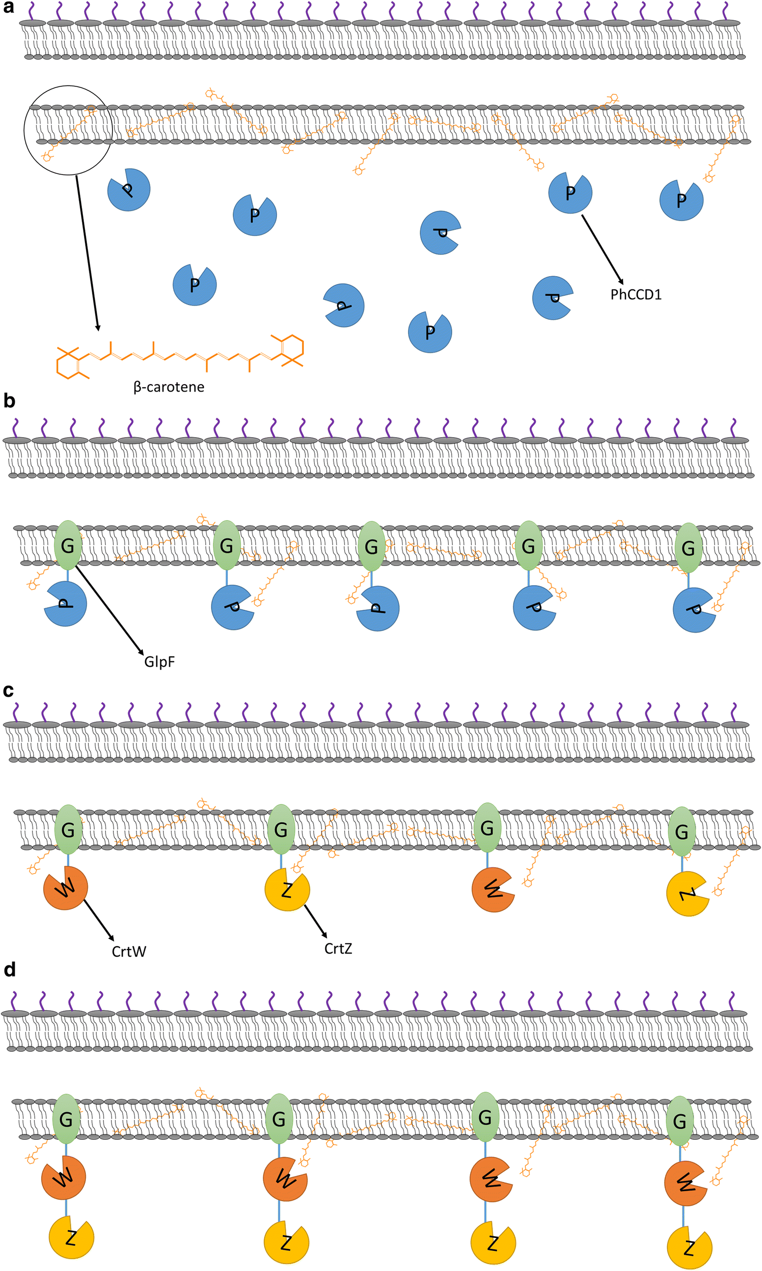 Fig. 2