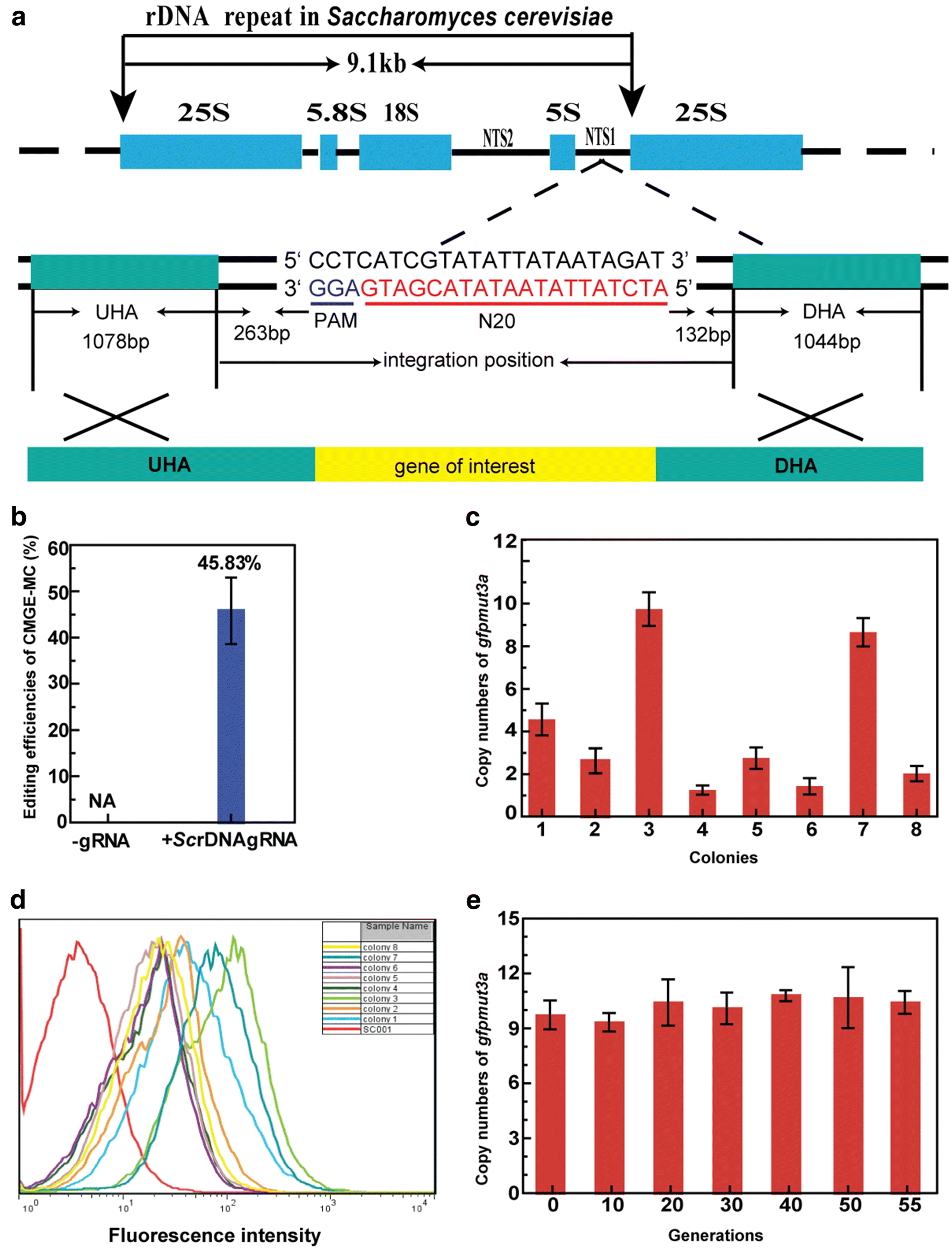 Fig. 6