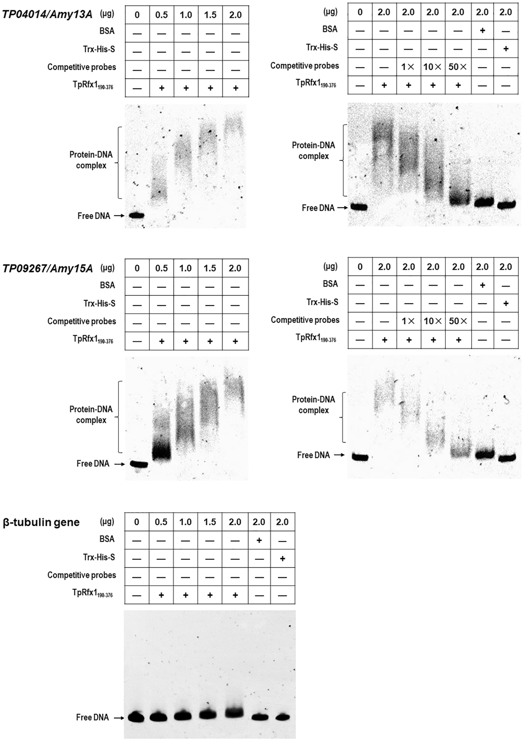 Fig. 6