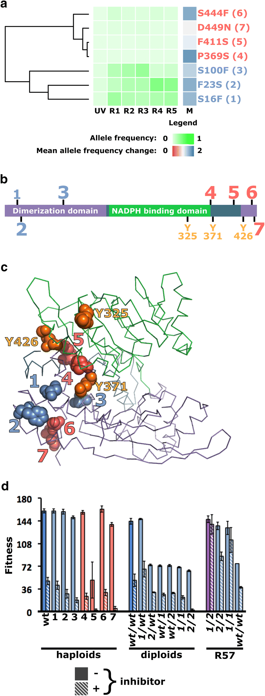 Fig. 3