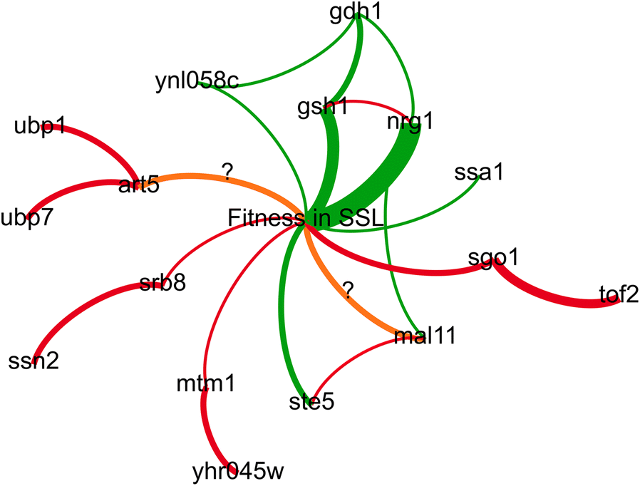 Fig. 5