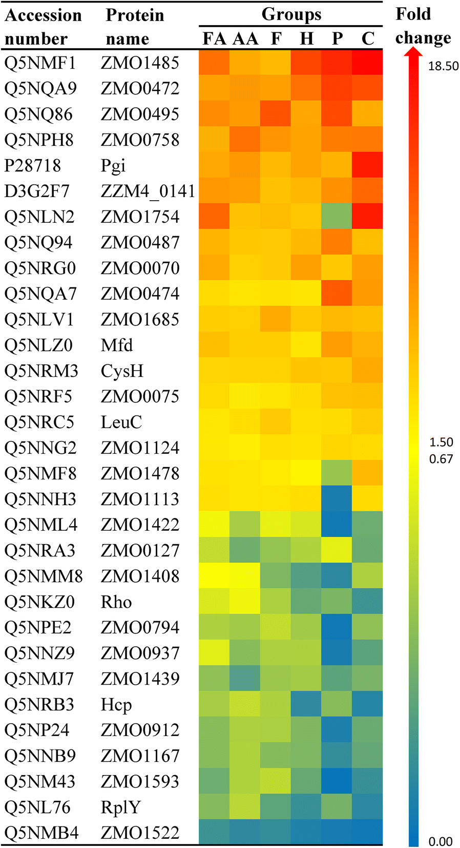 Fig. 4