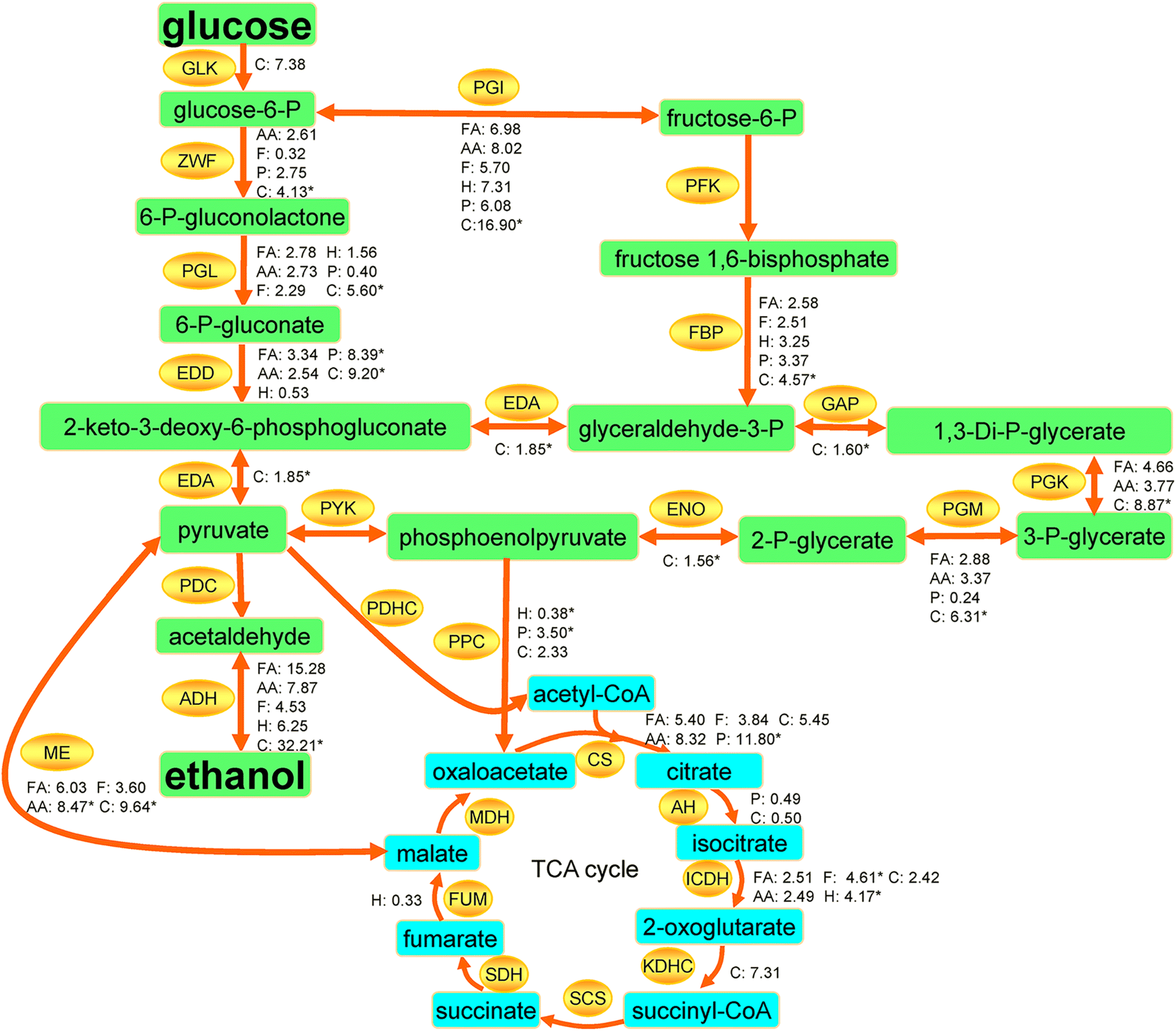 Fig. 5