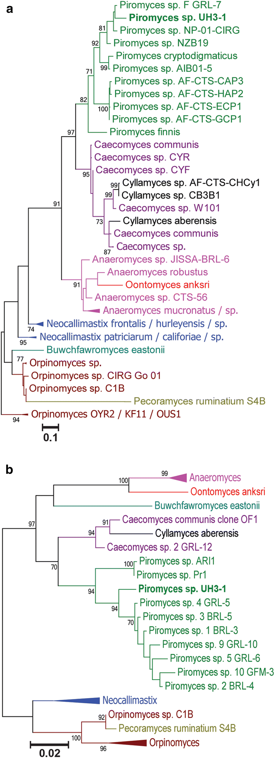 Fig. 2