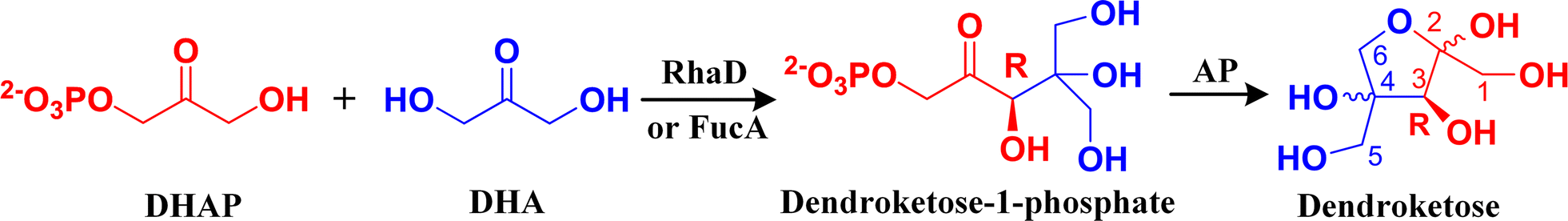 Fig. 1