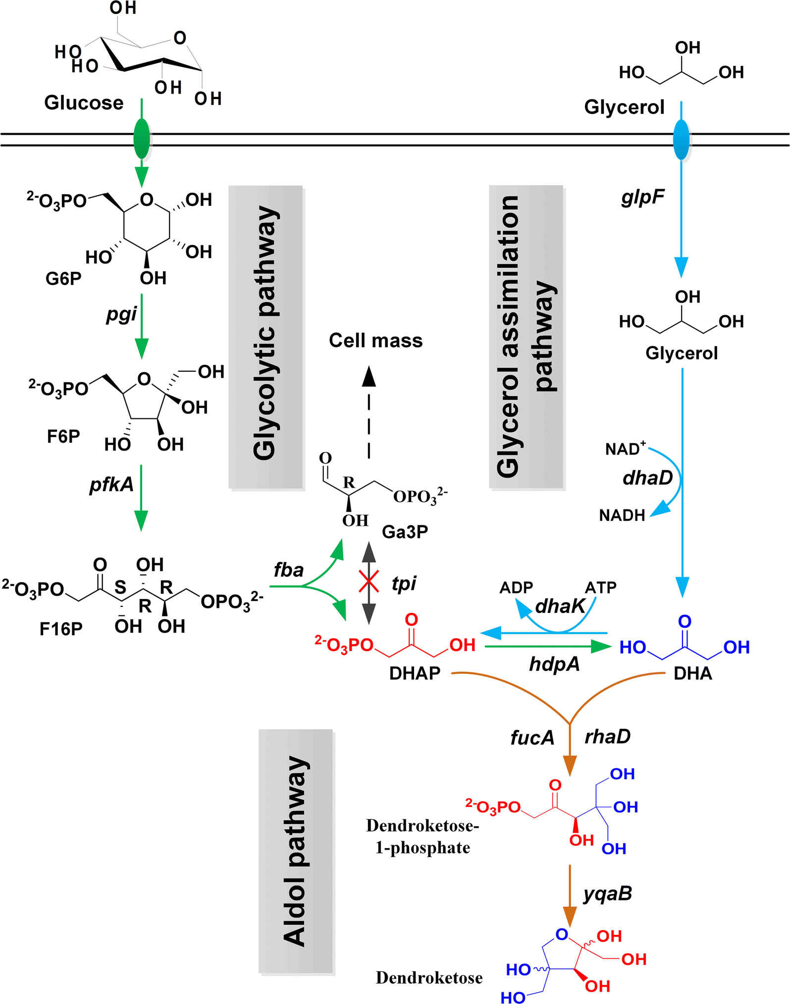 Fig. 6